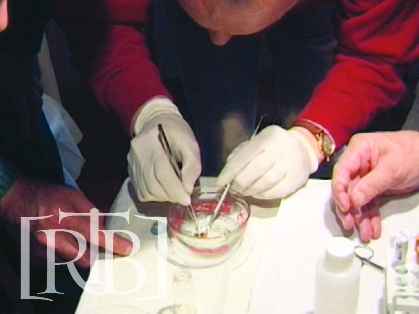 Dr. Castañón taking samples of the Buenos Aires host